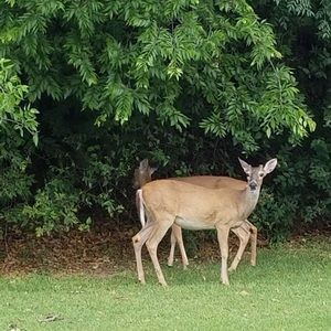 Meet your Posher, Tanja